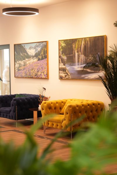 îngrijire memorie / memory care